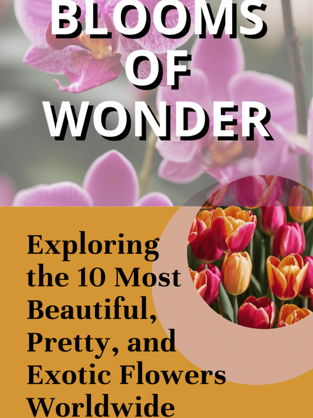 Blooms of Wonder: Exploring the 10 Most Beautiful, Pretty, and Exotic Flowers Worldwide 🌸🌺