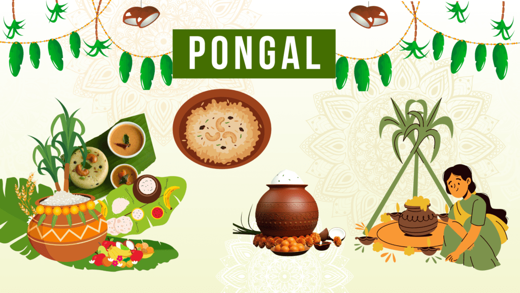 Pongal: Tamil Nadu's Vibrant Harvest Festival